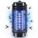 mosquito